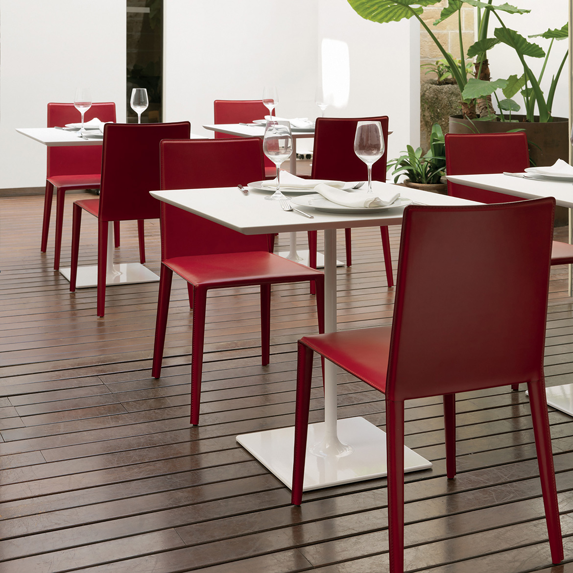 乐竞平台 - 坐具|餐椅|办公家具|设计师家具|Norma 餐椅/洽谈椅